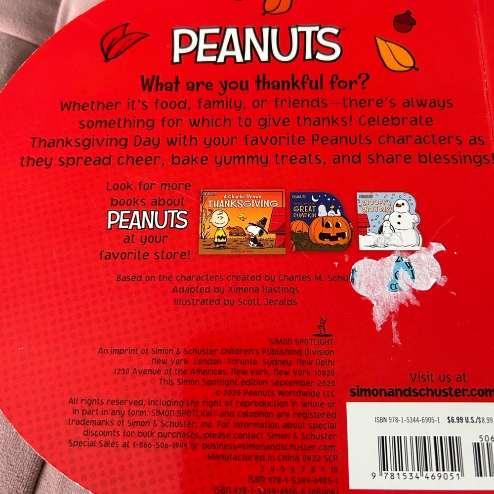 Peanuts Book - Picture 3 of 5